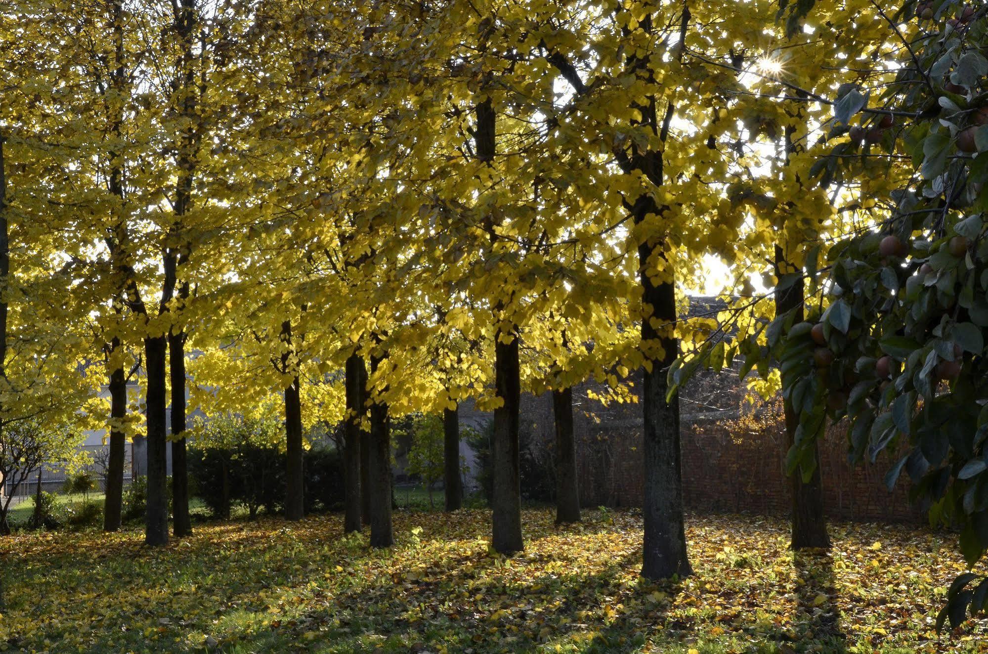 9 Muse Bed And Breakfast Canneto sull'Oglio Luaran gambar
